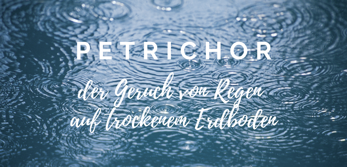 Petrichor Immobilien